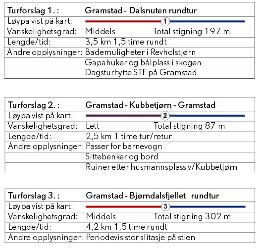 evje hornnes kommune